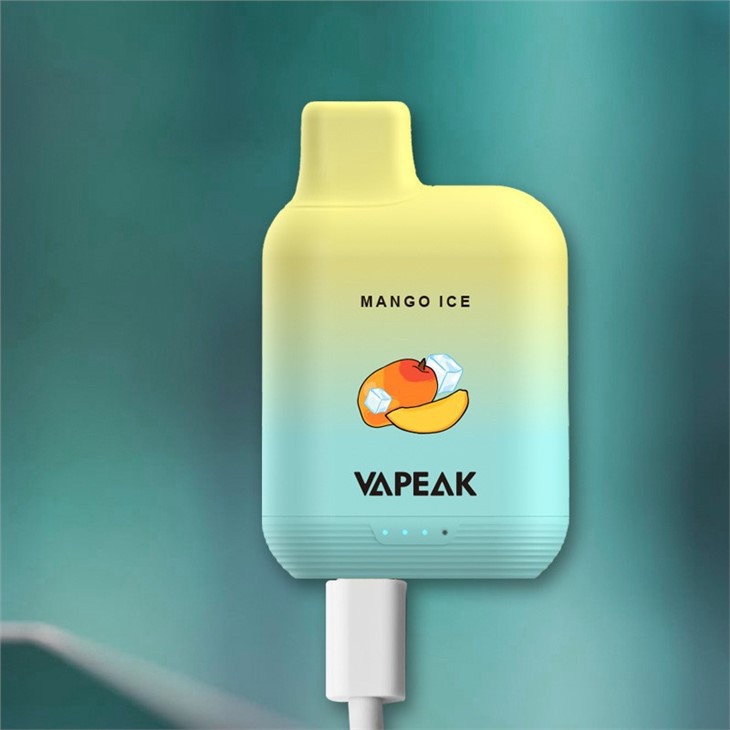 5000puffs Vaporizer Vape Pen