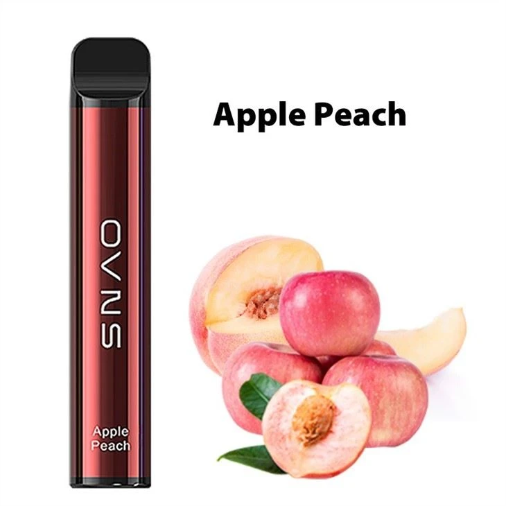 Electronic Vape Elfbar Disposable Vape